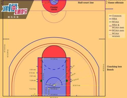 篮球场地区域介绍探秘全国最热门的篮球场馆和球员文化-第2张图片-www.211178.com_果博福布斯