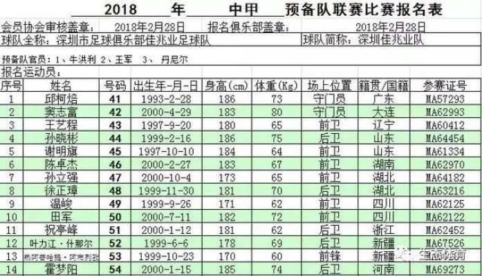 fm2008中超预备队球员 fm2018中超必签球员-第2张图片-www.211178.com_果博福布斯