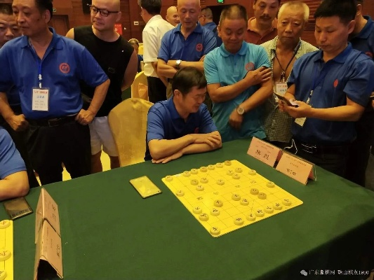 2018社会业余象棋比赛报名注意事项及流程-第3张图片-www.211178.com_果博福布斯