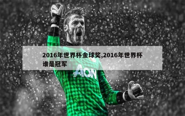 2016世界杯亚军是谁 2016世界杯亚军是谁呀-第3张图片-www.211178.com_果博福布斯