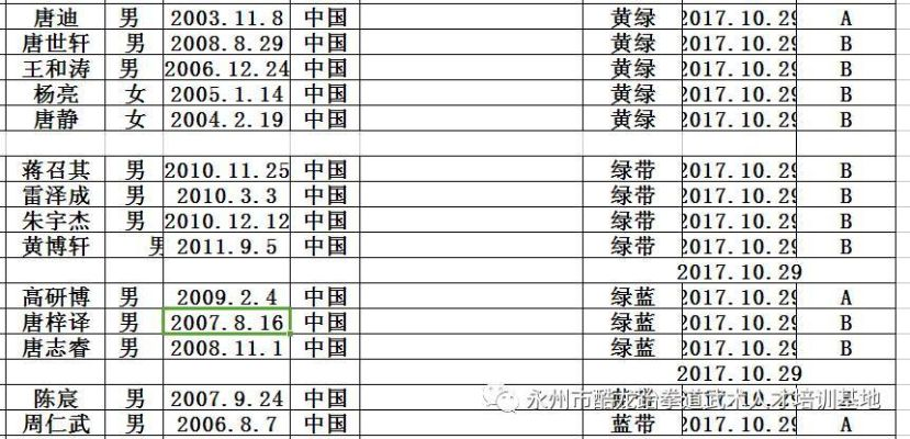 2017跆拳道考级费用一览表-第2张图片-www.211178.com_果博福布斯